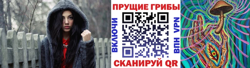 Псилоцибиновые грибы Cubensis  ссылка на мегу ссылка  Козловка 